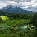 nature